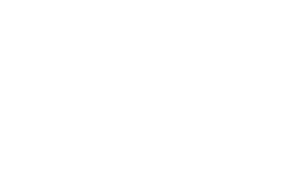 carigar247 logo